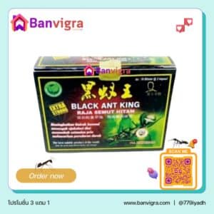 black ant king