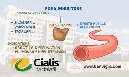 สารประกอบสำคัญ: Tadalafil